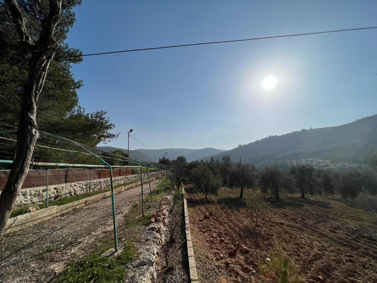 Oak Farm مزرعة الملّول Ajloun