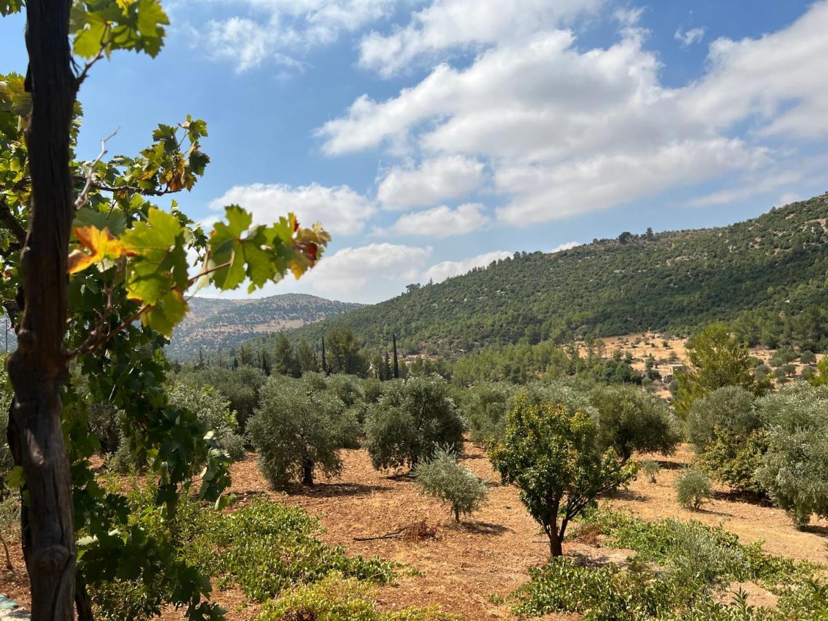 Oak Farm مزرعة الملّول Country house *