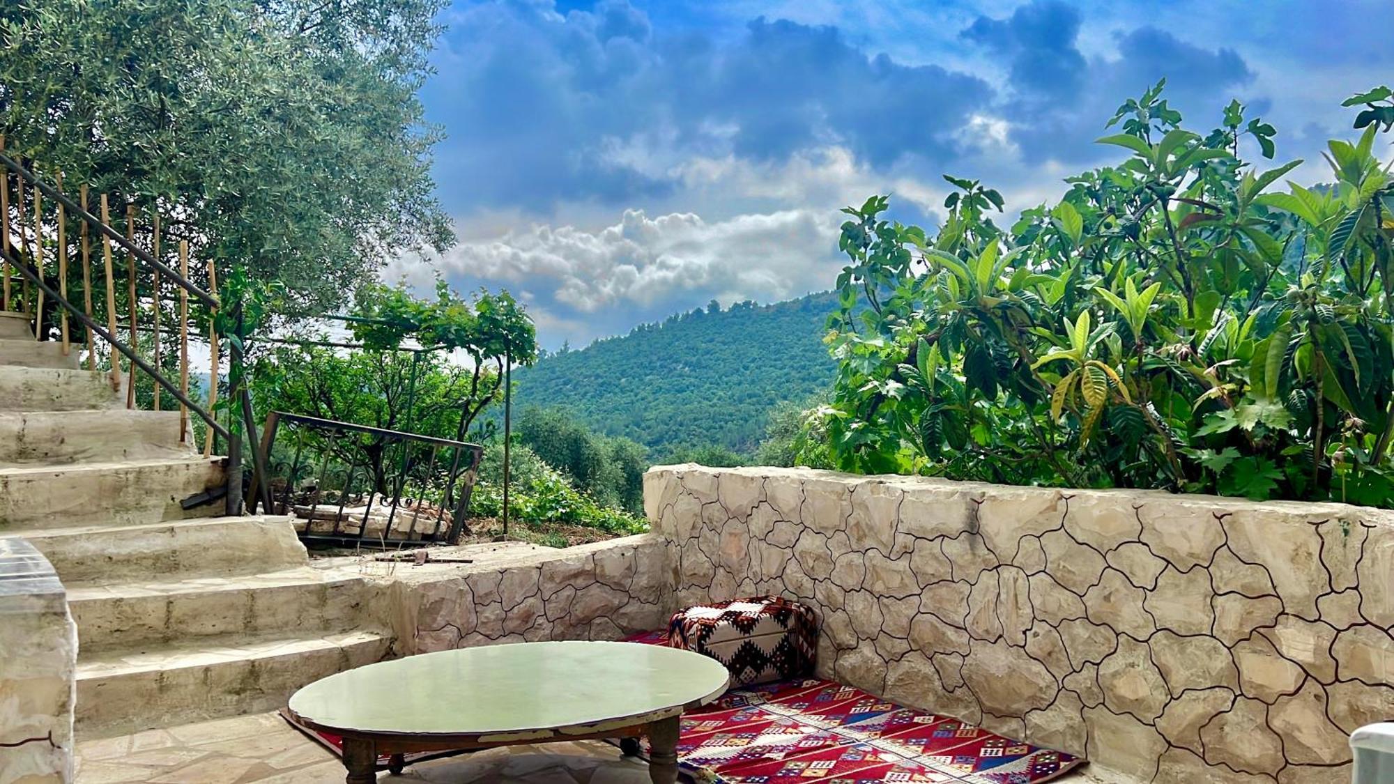 Oak Farm مزرعة الملّول